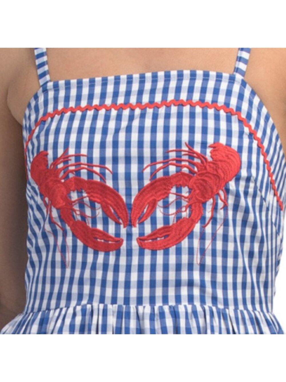 SOLITAIRE Sleeveless Lobster Embroidered Gingham Maxi Dress - Picture 4 of 5